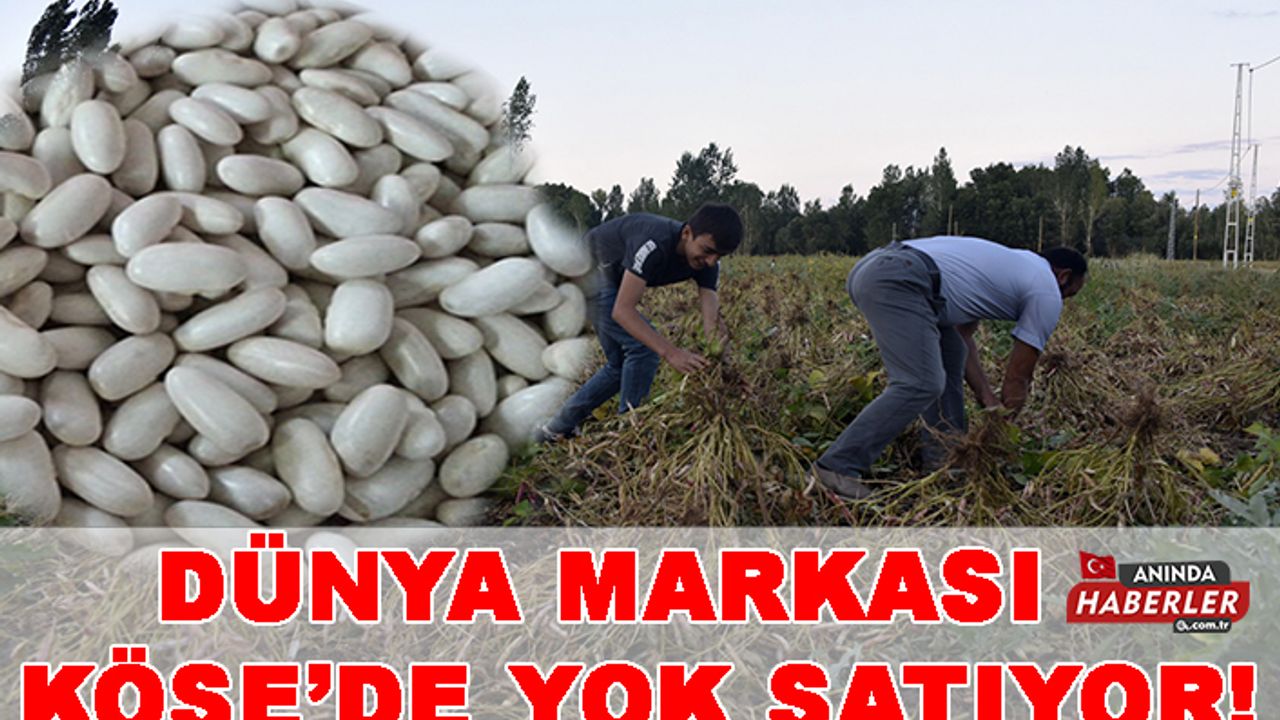 Dünya Markası Köse’de Yok Satıyor!