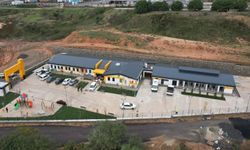 Çayırova'ya sokak hayvanları rehabilitasyon merkezi açılıyor