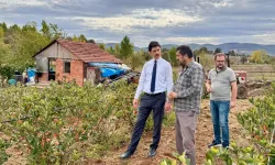 Kaymakam Kahraman’dan Ahududu ve Aronya tarlalarında inceleme