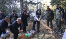 Bilecik'te yaban hayvanlarına Vali şefkati