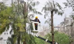 İzmir Bornova’da kışa hazırlık başladı