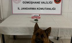 Gümüşhane‘de 47,5 gr kubar Esrar yakalandı