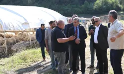 Bursa Gemlik'te Kurban Pazarı’nda satışlar başladı