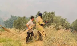 İzmir Ödemiş’te yangınla mücadele sürüyor