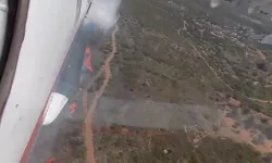 İzmir ve Bursa'da orman yangını... Havadan ve karadan müdahaleler sürüyor