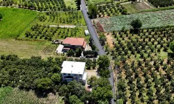 Sakarya Arifiye’ye sıcak asfalt dokunuşu