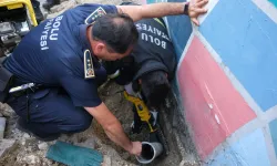 İtfaiyeden kedi kurtarma operasyonu