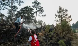 Türk Kızılayı orman yangınlarıyla mücadelede ön safta