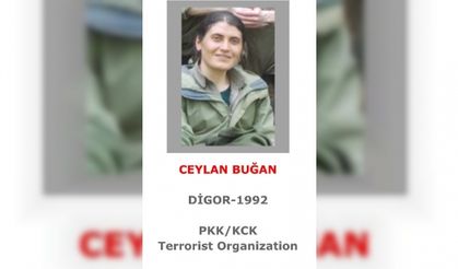 Bingöl'de öldürülen PKK'lı kadın terörist, gri listede çıktı