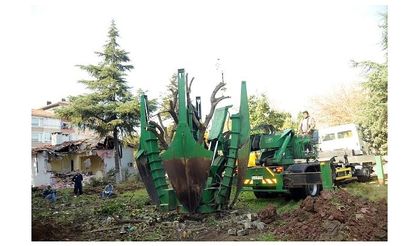 Yalova'da, okul inşaatı alanında kalan ağaçlar nakledildi
