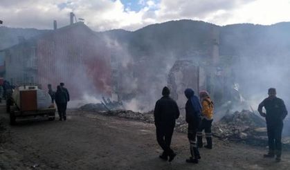 Köyde 3 ev ve 2 traktör yandı, 11 hayvan telef oldu