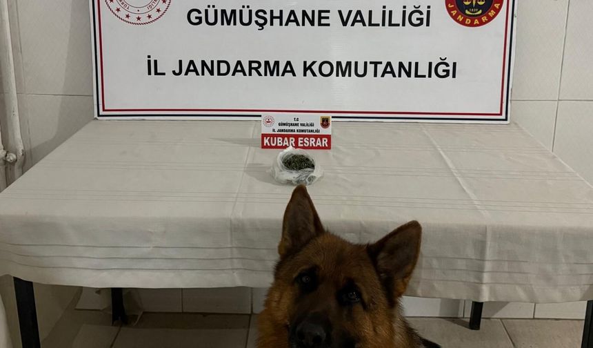 Torul‘dan uyuşturucuya geçit vermiyor