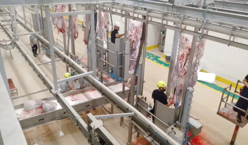 Kurbanlar Kocaeli'nin modern mezbahasında kesiliyor